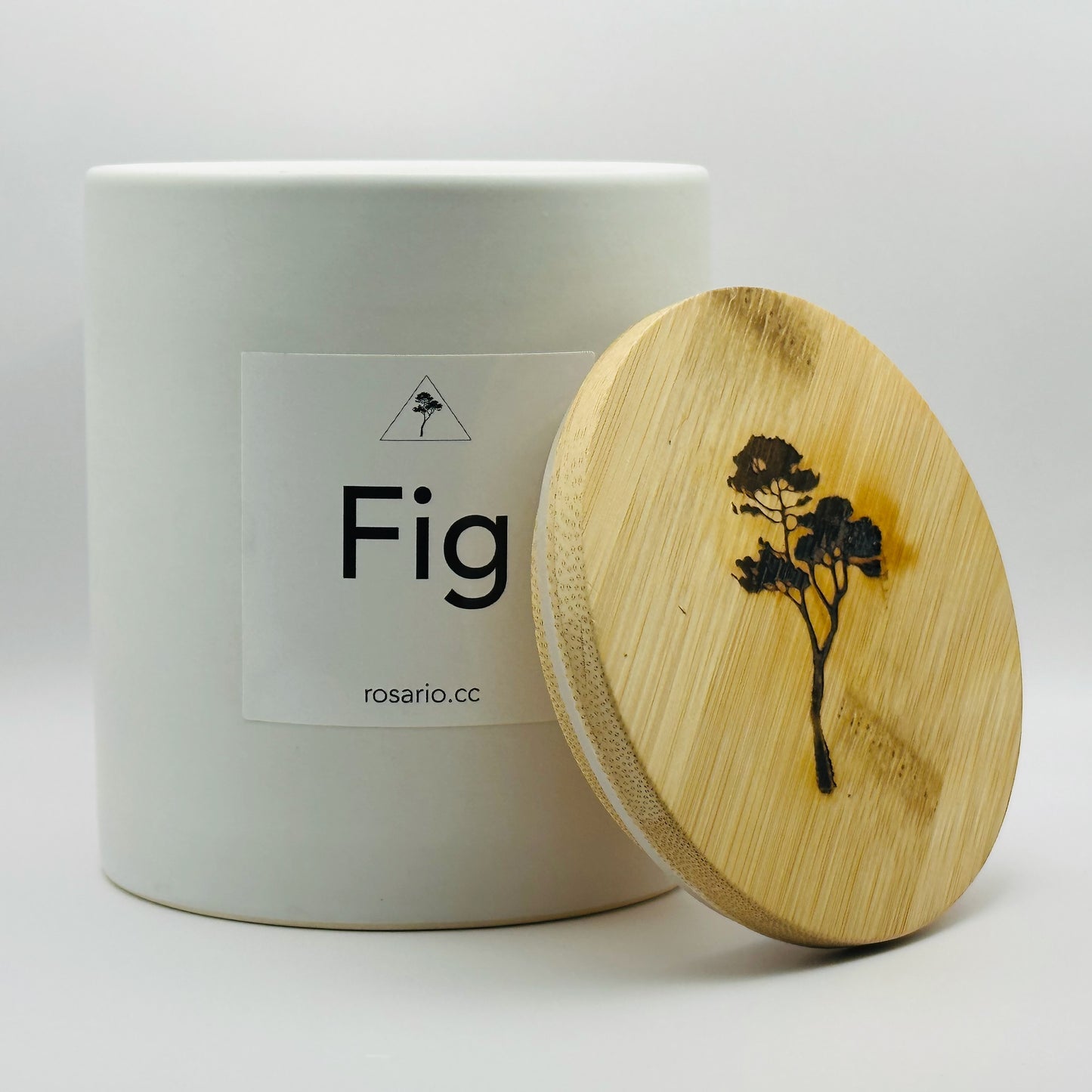 Fig